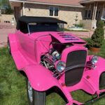 Pink Panther paint