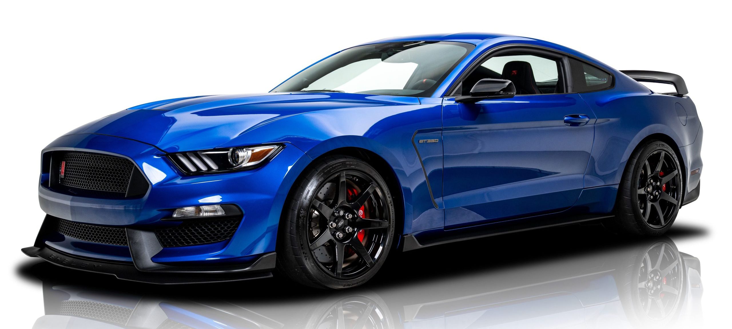 Mustangs for sale