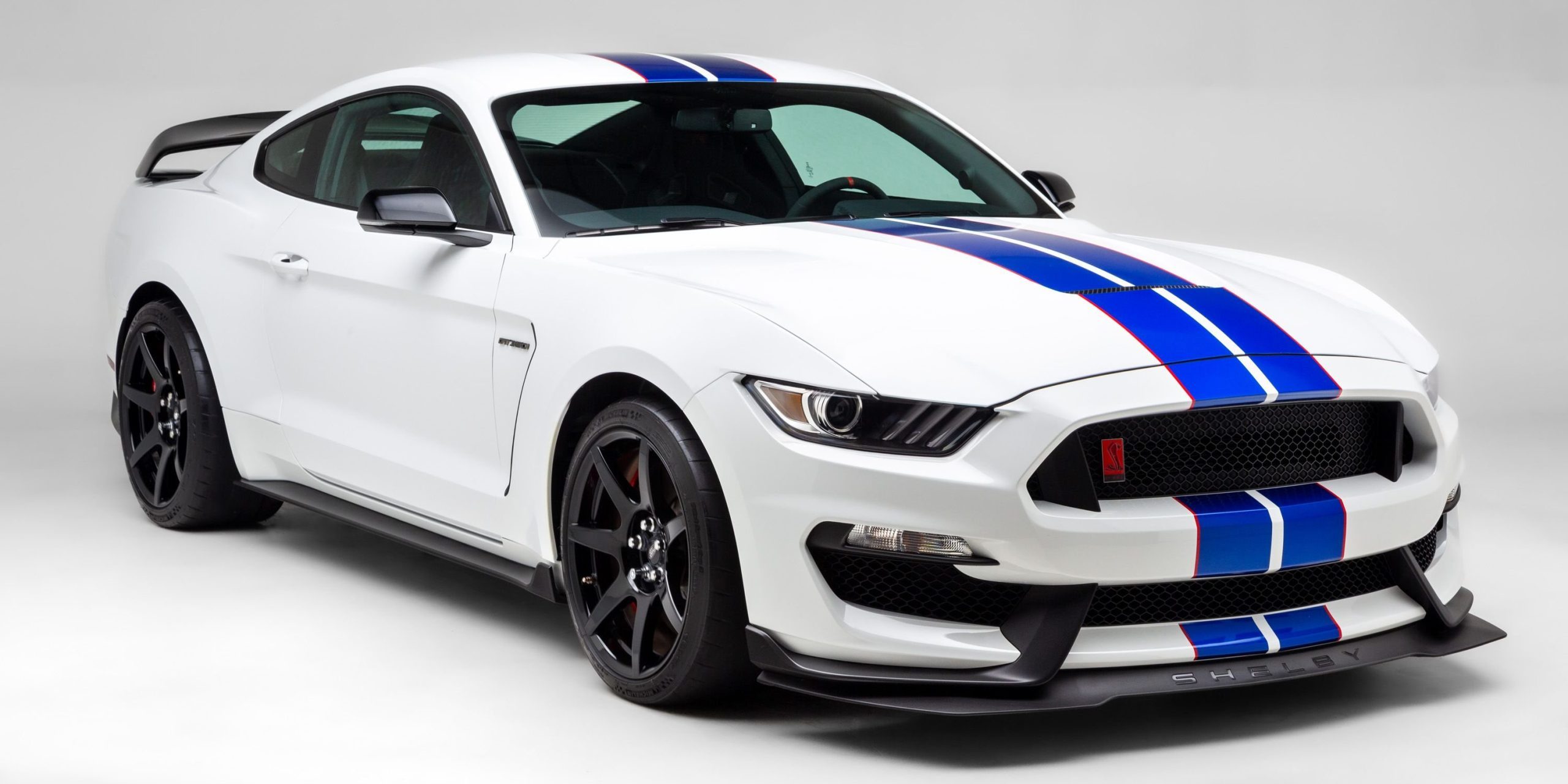 shelby musctangs for sale