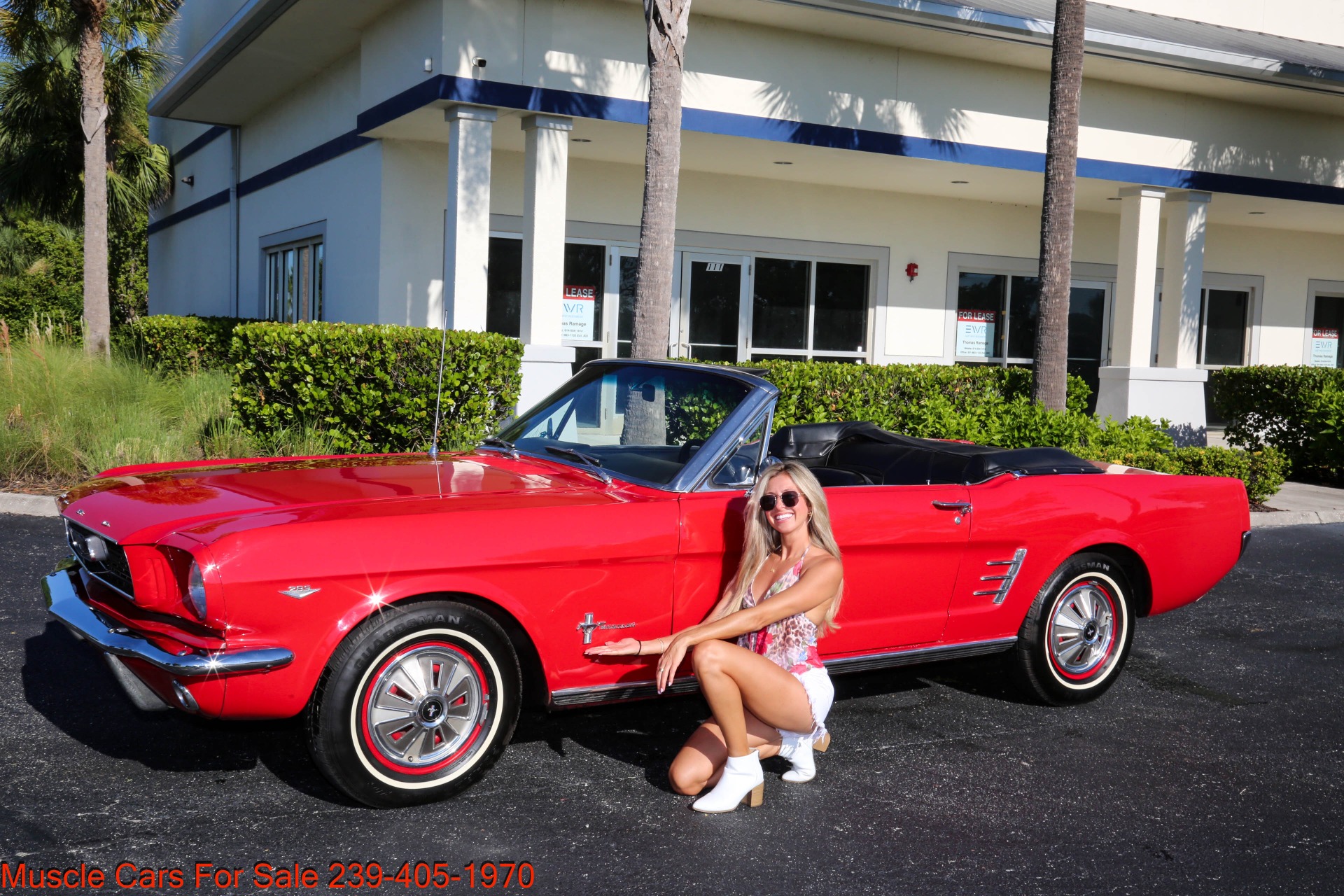 classic Mustang