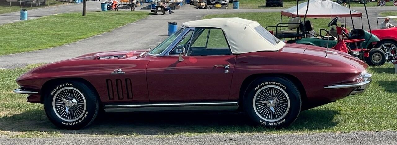 malono maroon