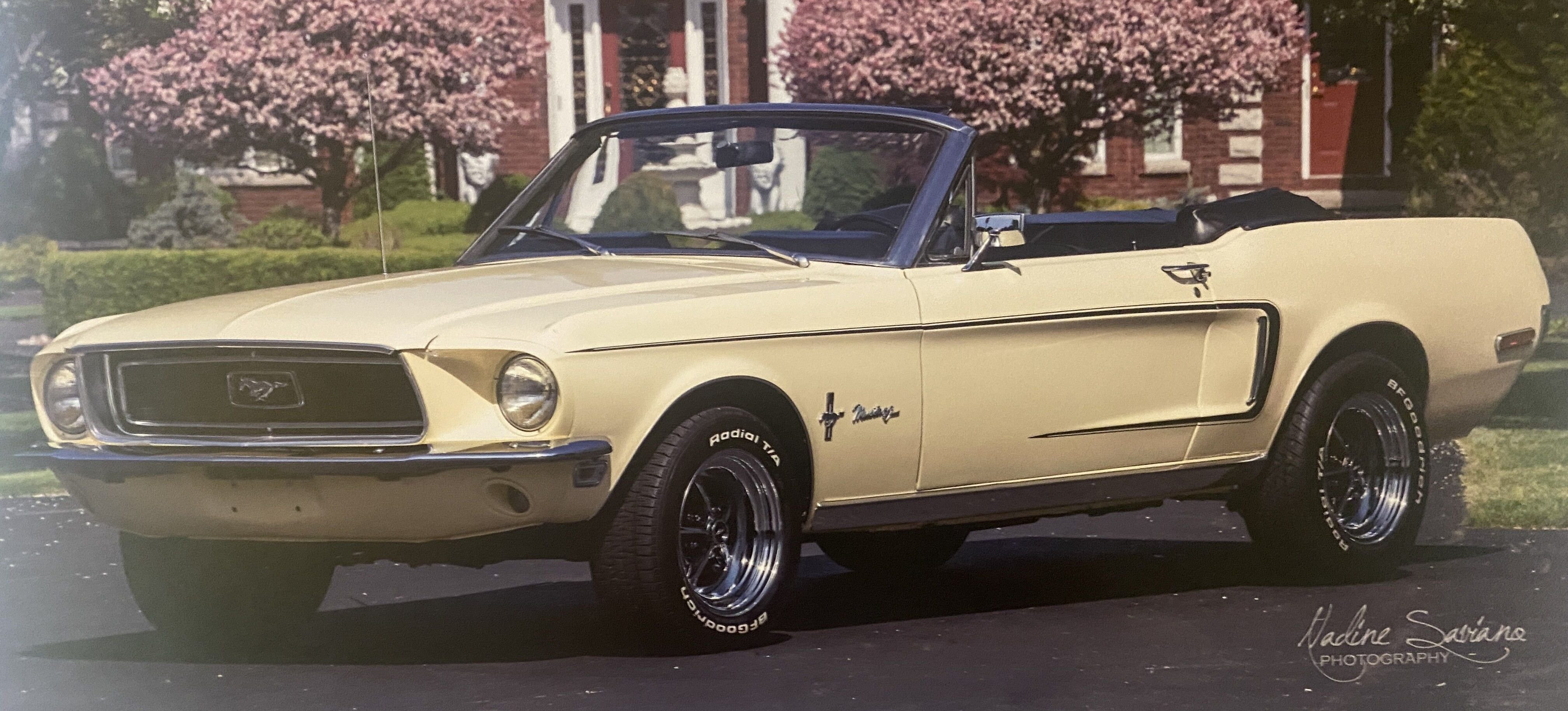 classic mustang
