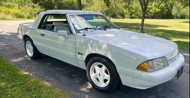 mustangs for sale