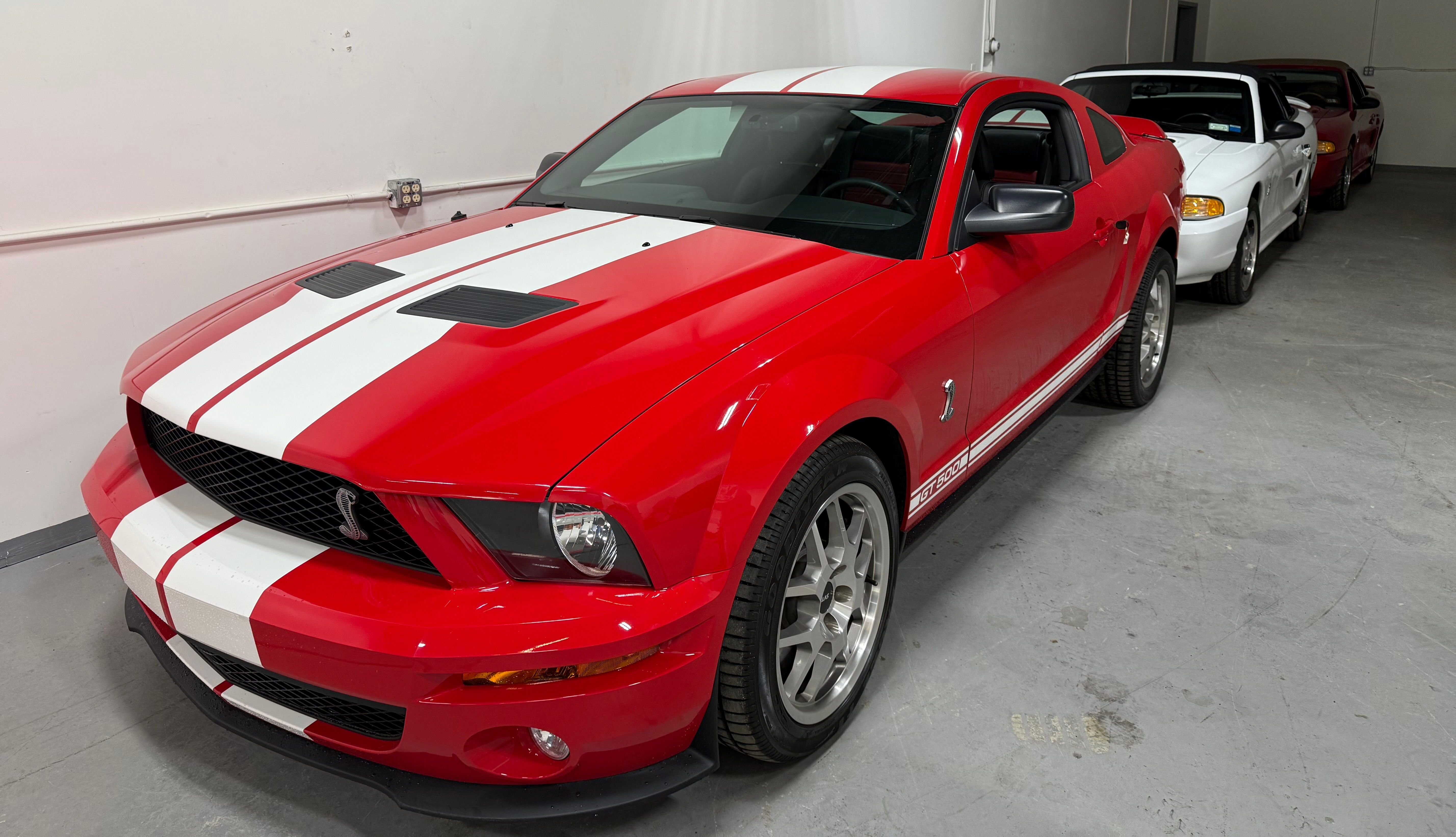 new age Shelby