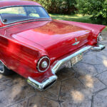 nut and bolt restoration
