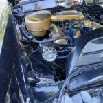 V8