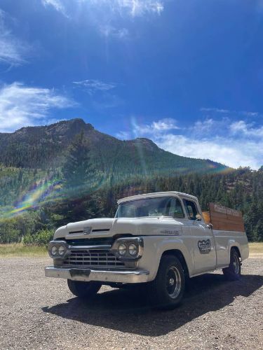 1960 Ford F100
