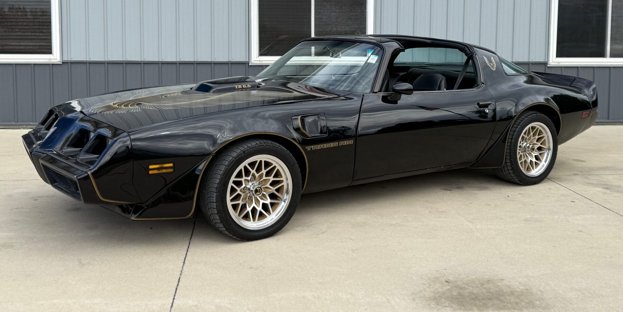 classic Firebird/TA