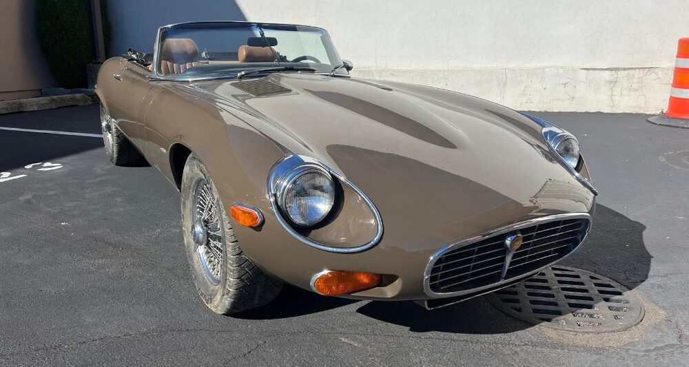 classic exotic imports