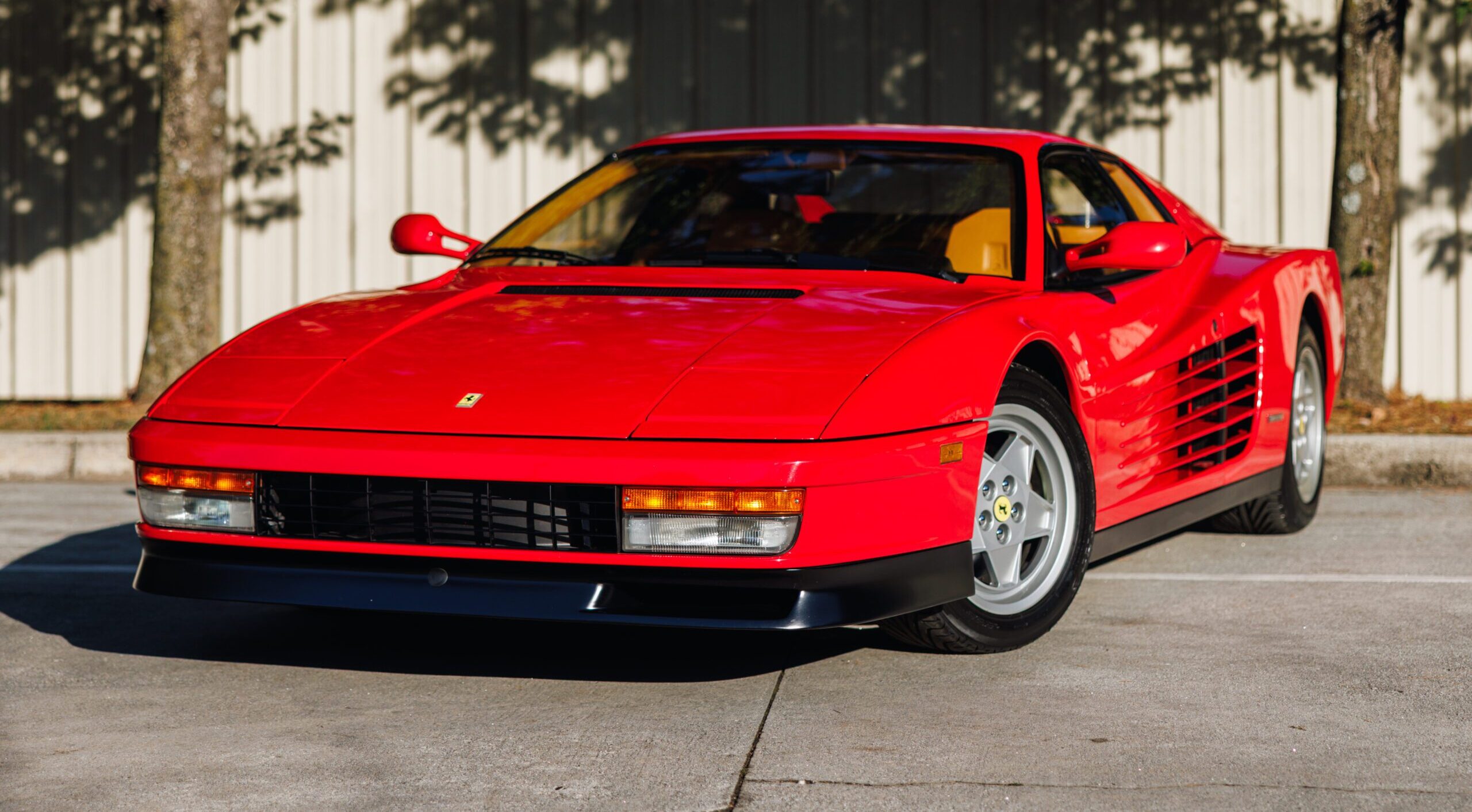exotic imports