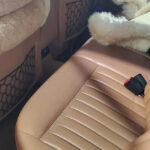 Palomino leather interior