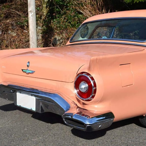 Ford's E-Bird Wonder