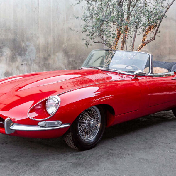 Timeless Perfection