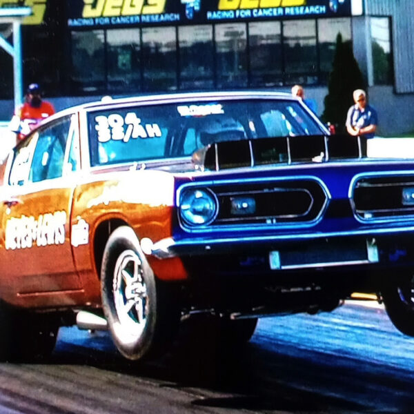 Born to Race