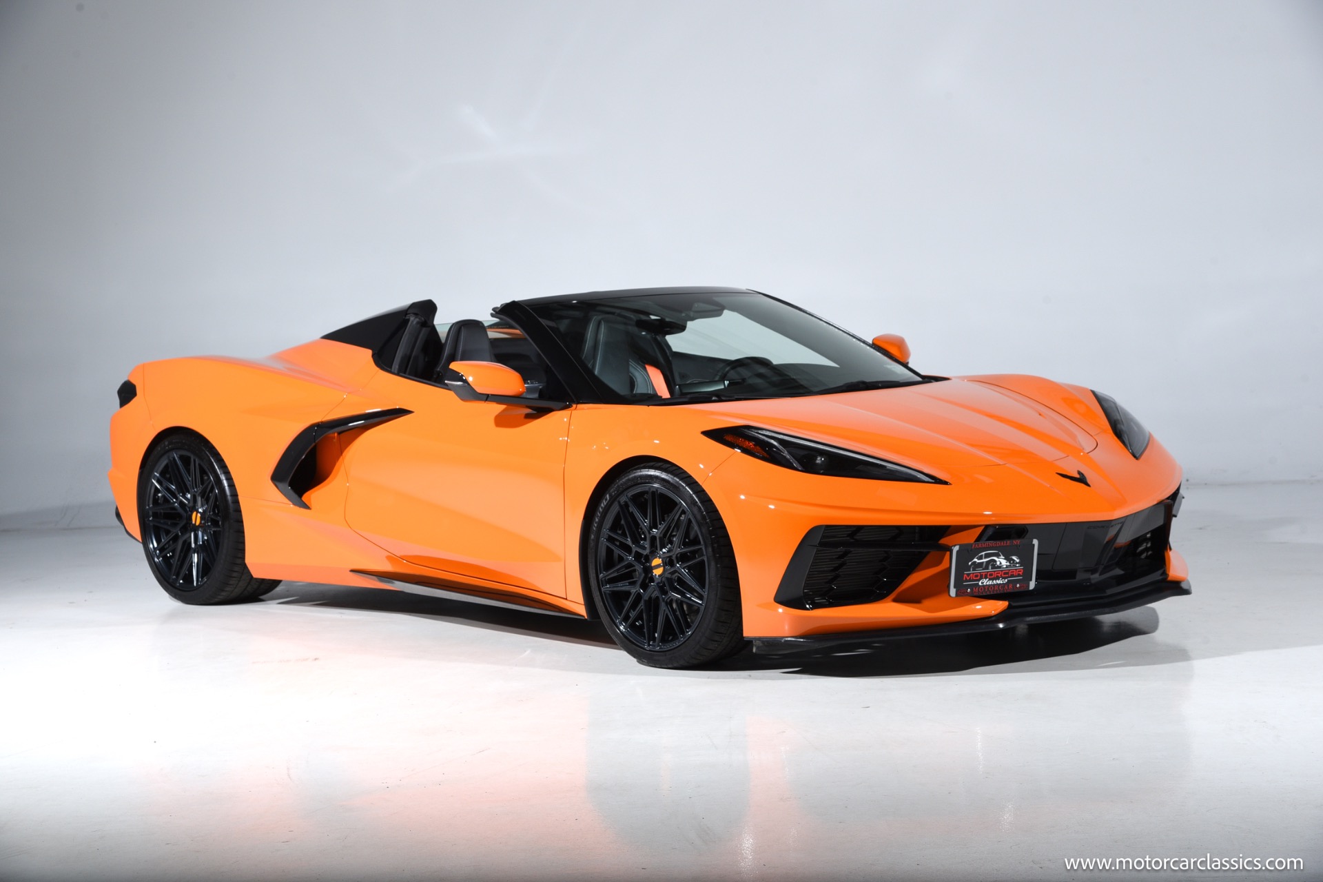 Amplify Orange