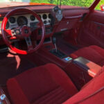 all new interior