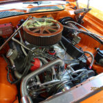 profesional built 499 ci
