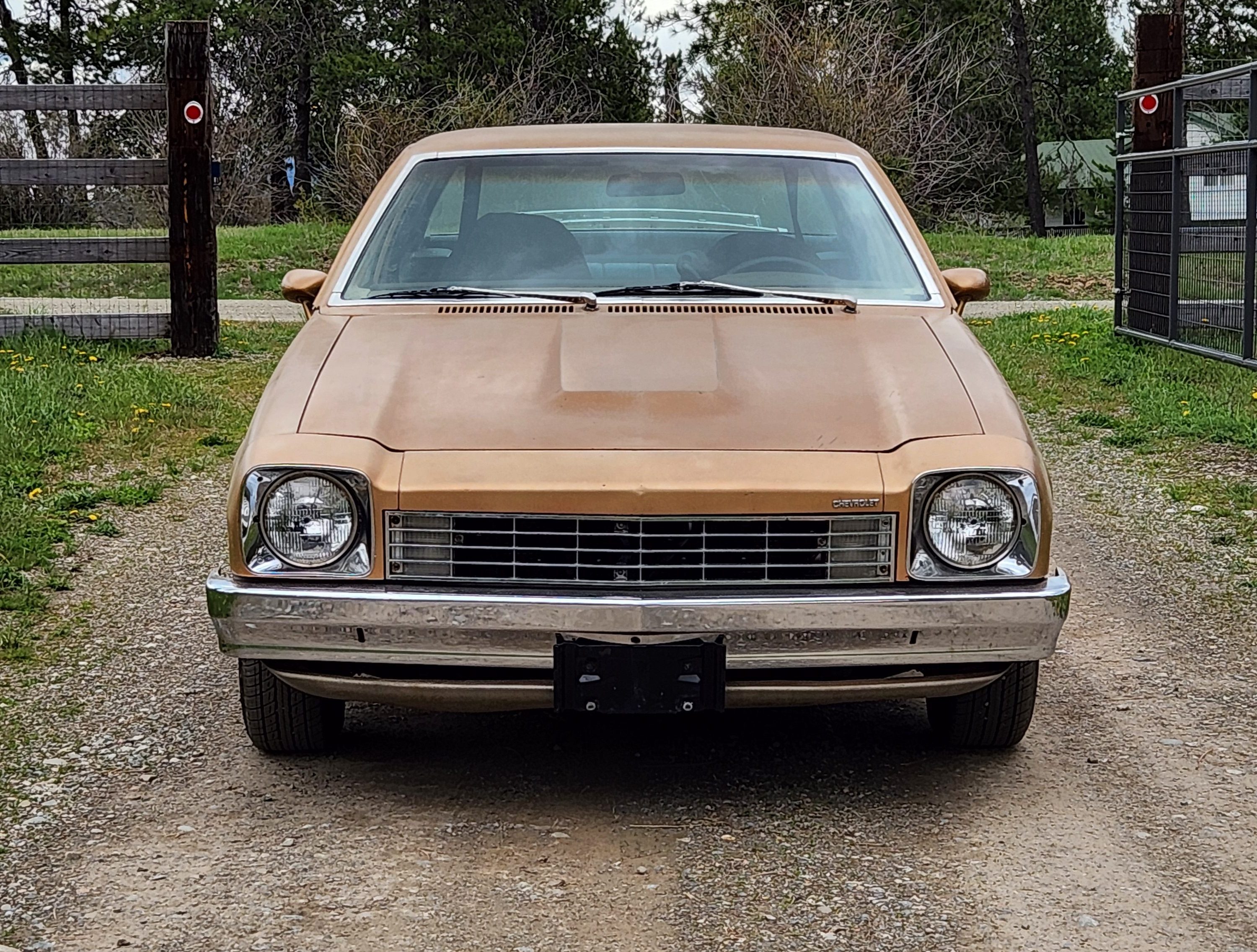 1980 Chevy Monza Coupe