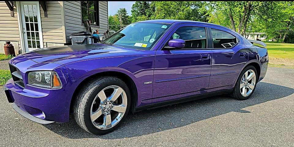 Plum Crazy Purple