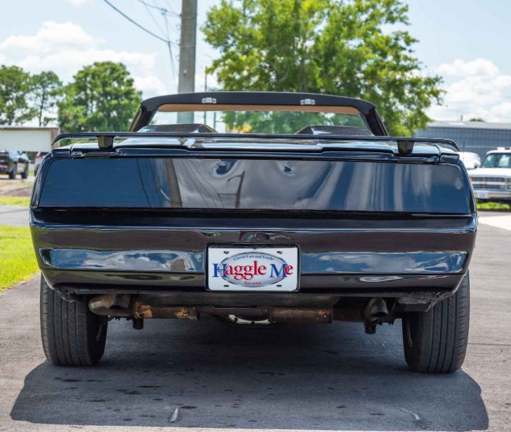 trans am