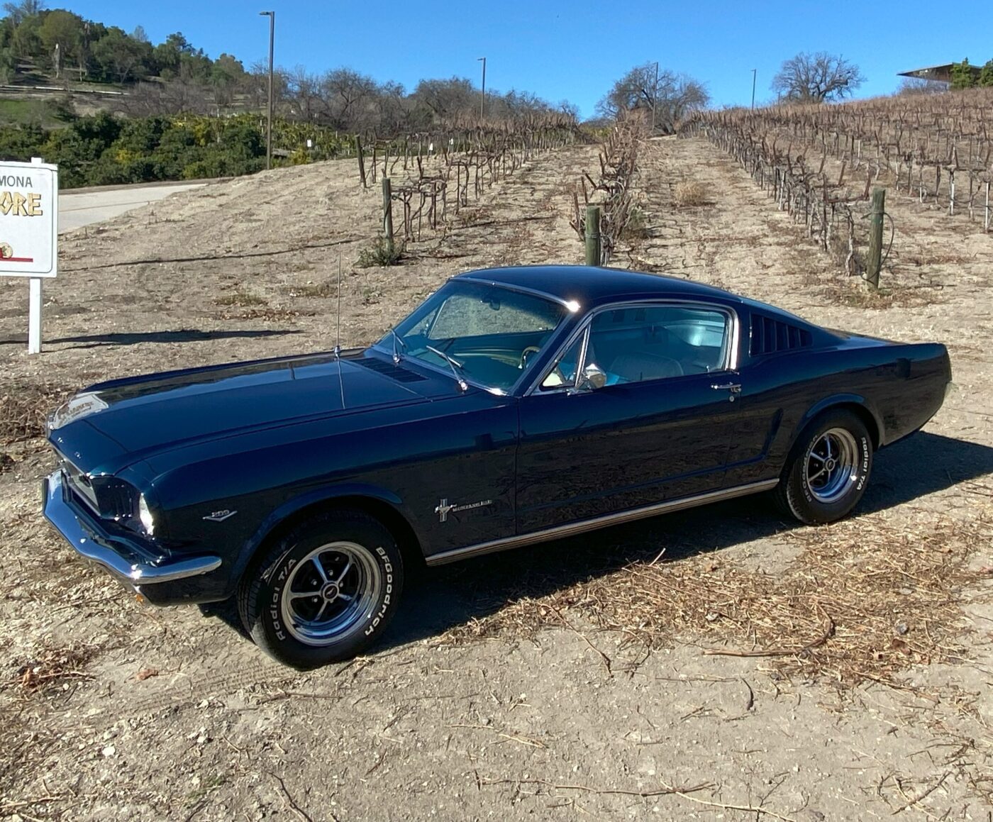 Great looking fastback