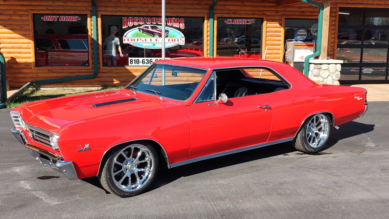 muscle