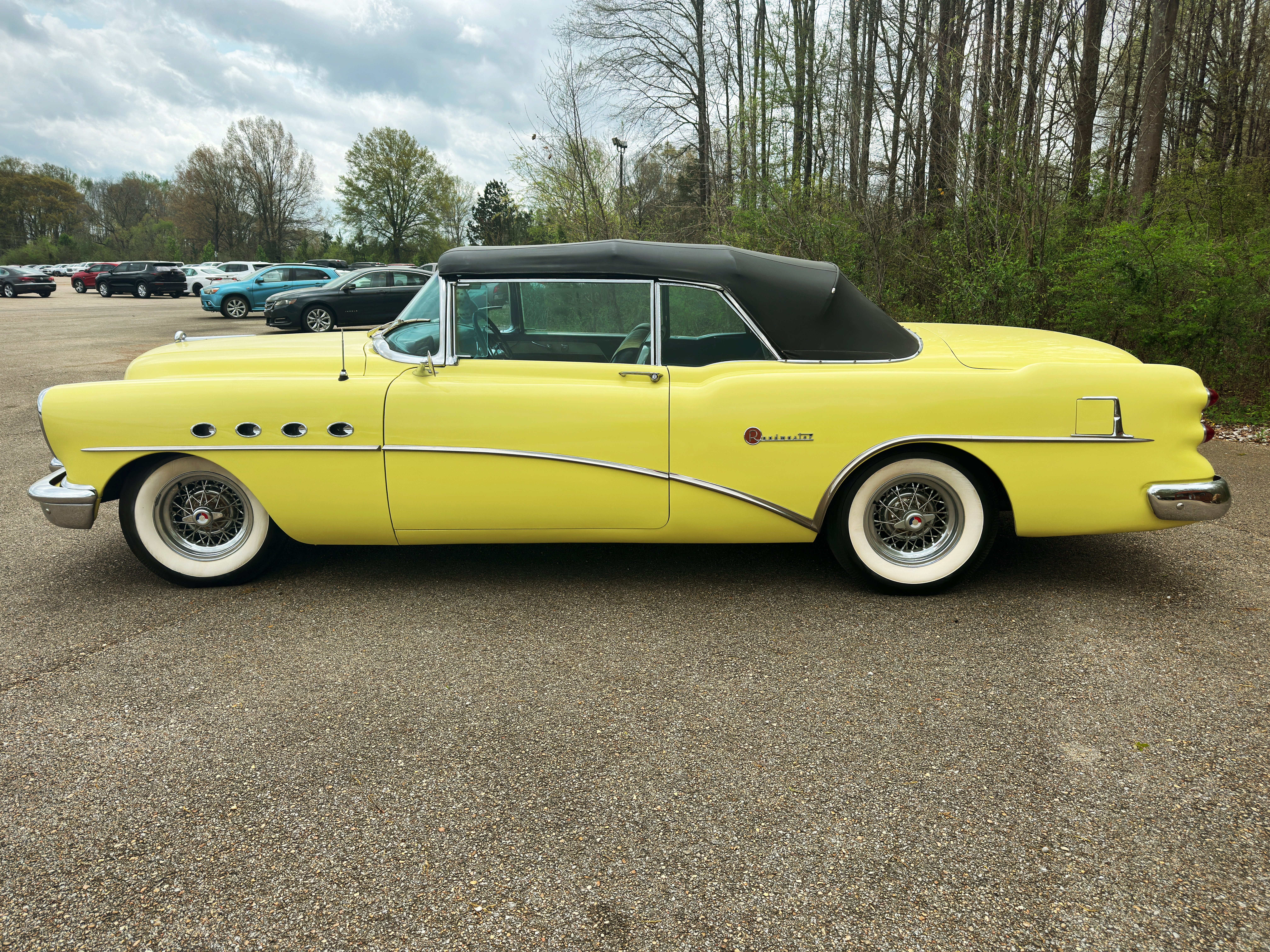 Condor yellow