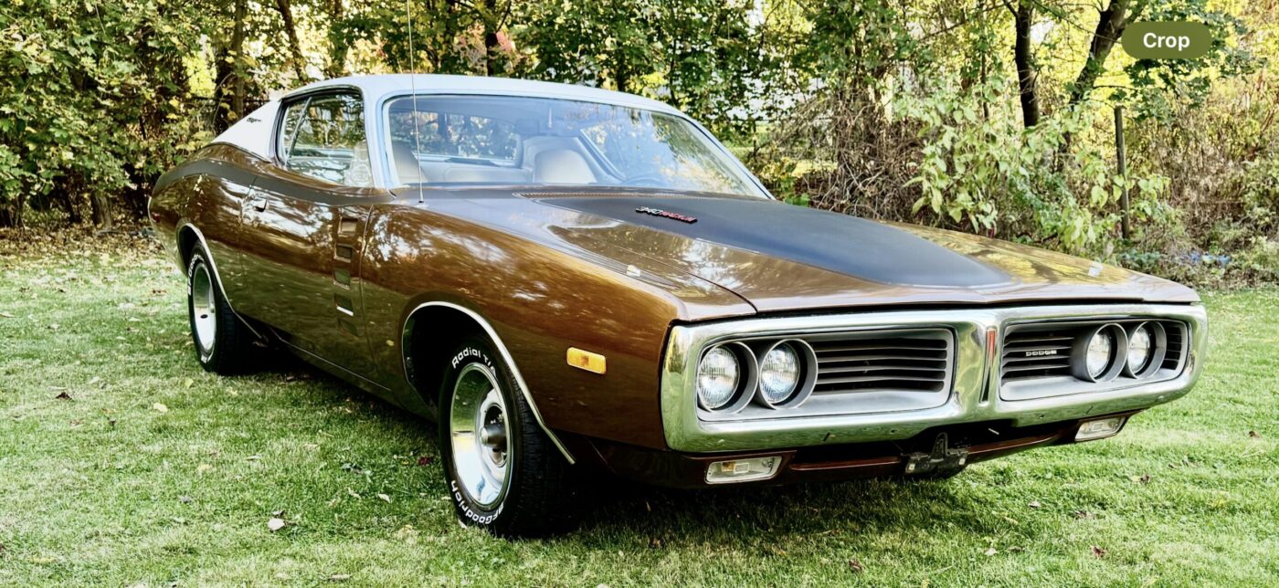 Dark Tan Poly (Root Beer)