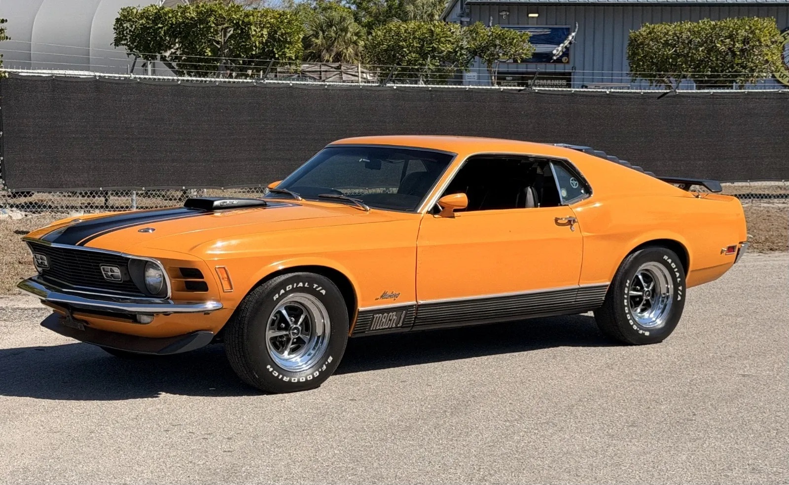 classic muscle car for sale