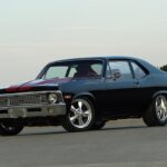 show winner