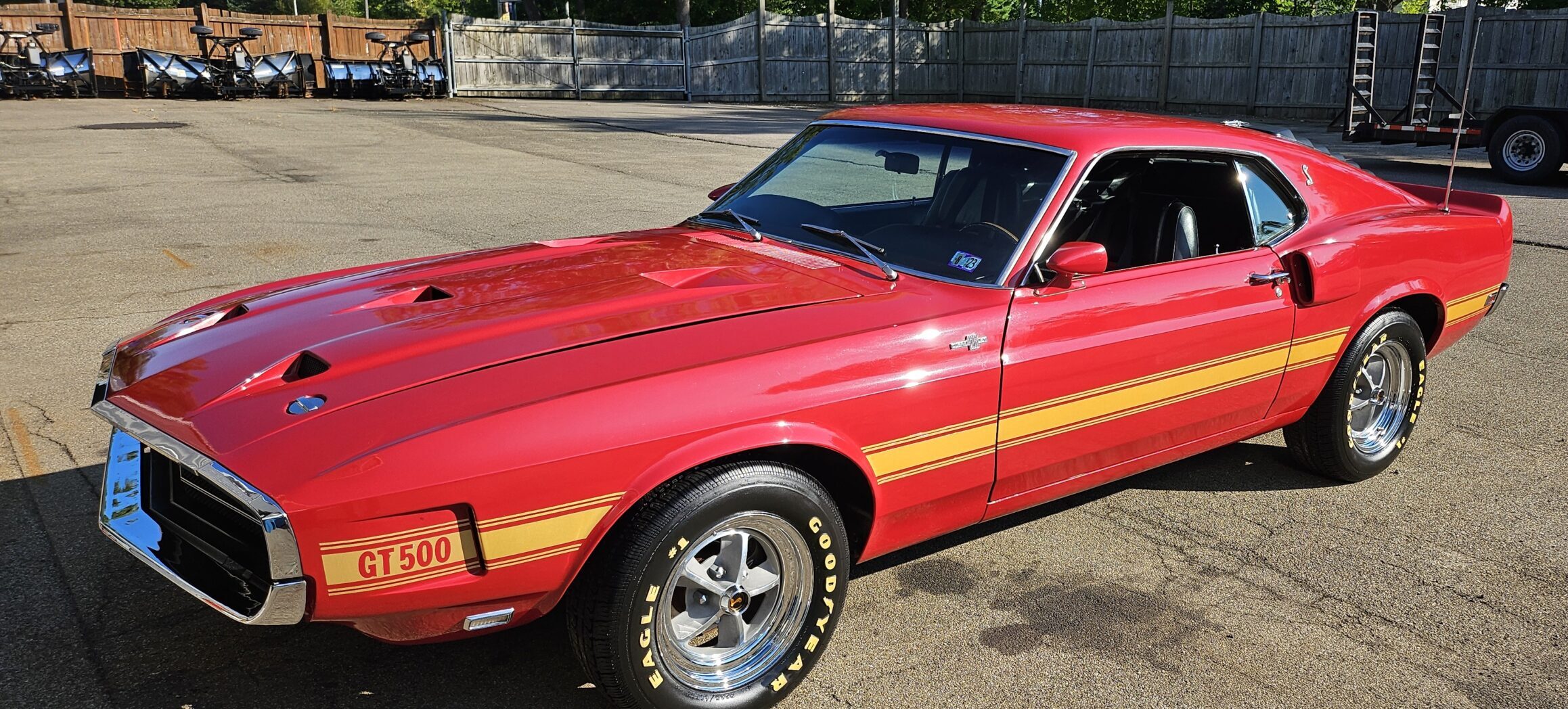 Mustang muscle car