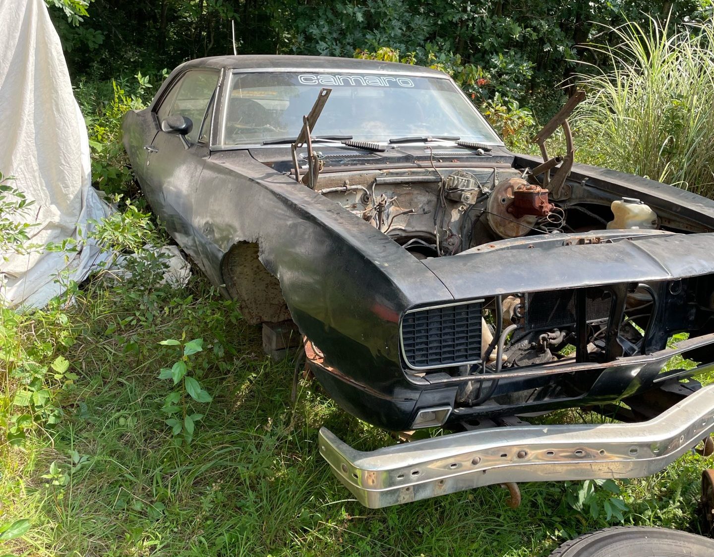 1967 Camaro RS/SS