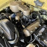 259ci V8, factory 4-barrel