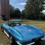 Marina blue