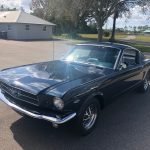 Thoroughbred GT body