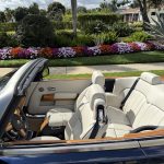 cream interior with Navy piping