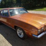 lower fender and lower quarter replaced