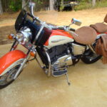 Indian saddlebags