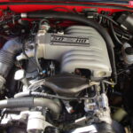 302 ci V8